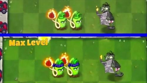 植物人普攻爆料视频,神秘技能曝光,引网友热议 第3张 植物人普攻爆料视频,神秘技能曝光,引网友热议 第3张