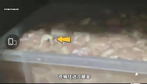 华莱士最新爆料,揭秘娱乐圈惊人内幕  第1张